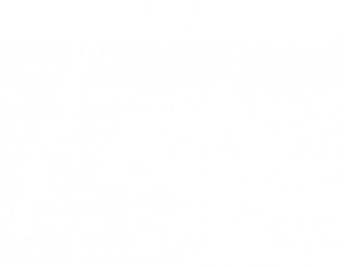 Logo L_S final transparent Logo L_S final transparent